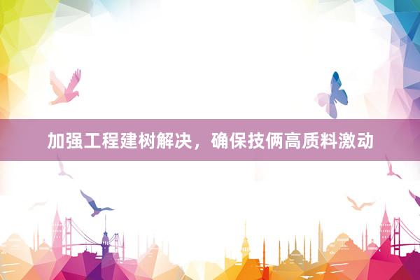 加强工程建树解决，确保技俩高质料激动