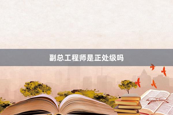 副总工程师是正处级吗