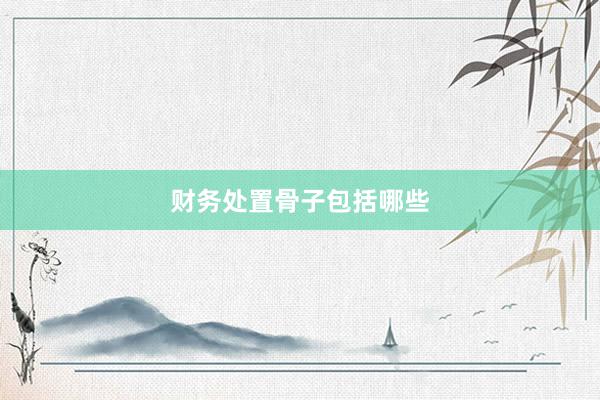 财务处置骨子包括哪些