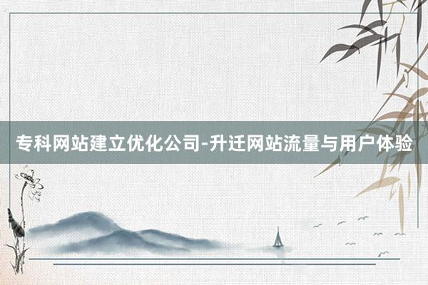 专科网站建立优化公司-升迁网站流量与用户体验